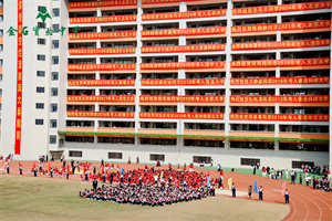 金石实验中学国际部校园环境