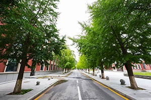 东北大学哈珀国际教育中心