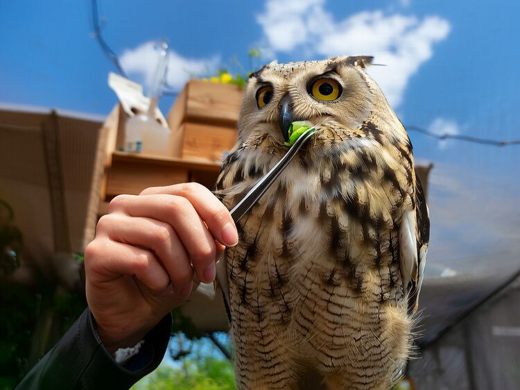 cis佛山国际学校