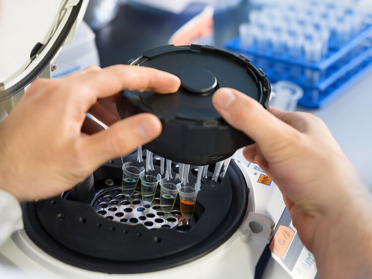 北京加拿大国际学校官网首页