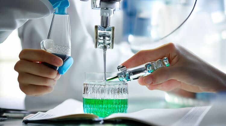 广州南沙区国际学校有哪些