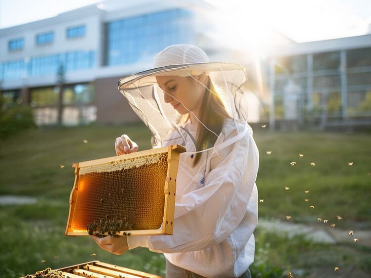 爱莎国际学校武汉学费