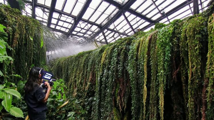 八一学校国际部