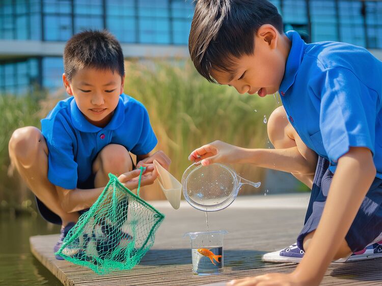 昌平国际高中有哪些