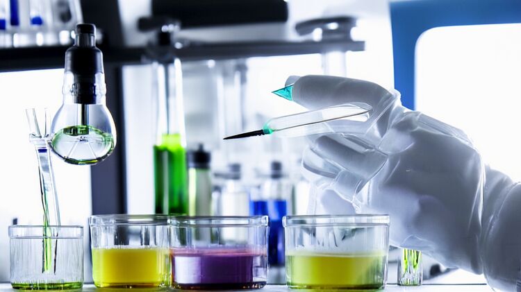 八十中国际学校部