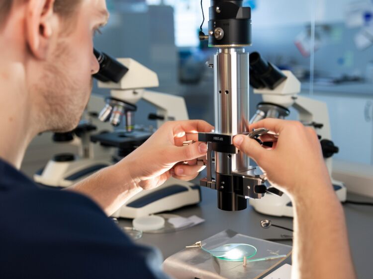 北京乐成国际学校在哪里