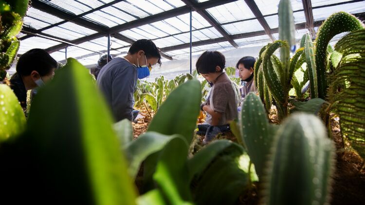 昌平国际高中有哪些