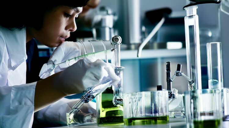 普陀私立高中哪个好