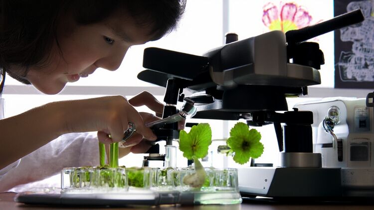 北京国际职业学校