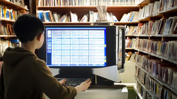 昌平国际高中有哪些