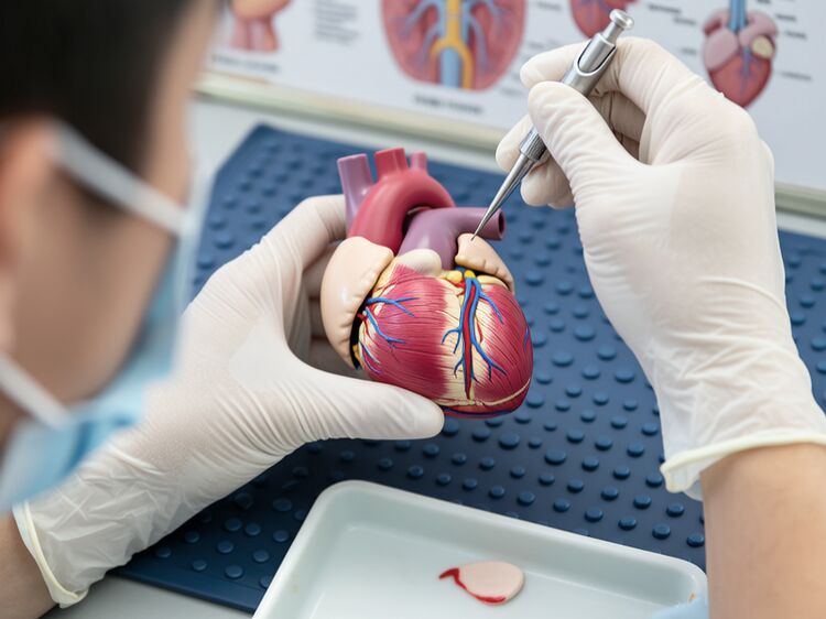 爱莎国际学校介绍